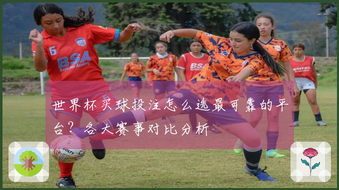 世界杯买球投注怎么选最可靠的平台？各大赛事对比分析