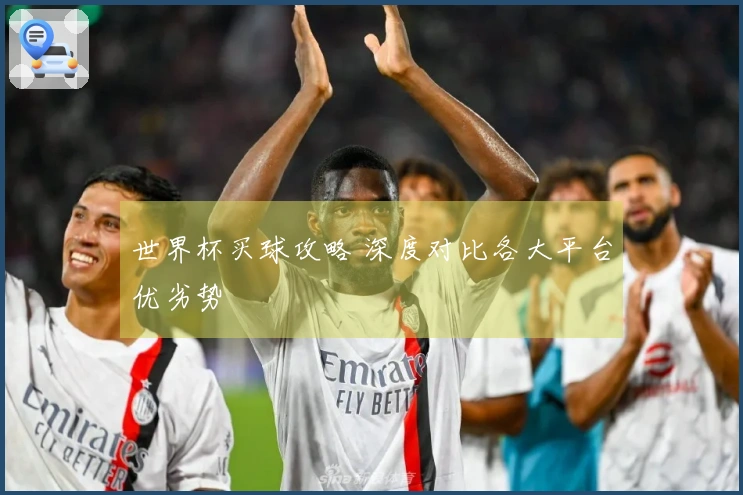 世界杯买球攻略 深度对比各大平台优劣势