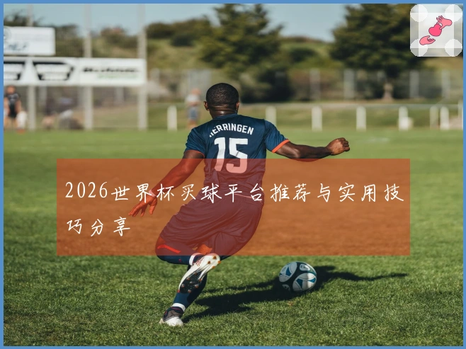 2026世界杯买球平台推荐与实用技巧分享