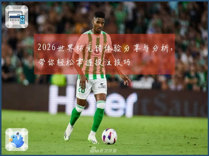 2026世界杯竞猜体验分享与分析，带你轻松掌握投注技巧