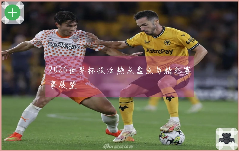 2026世界杯投注热点盘点与精彩赛事展望