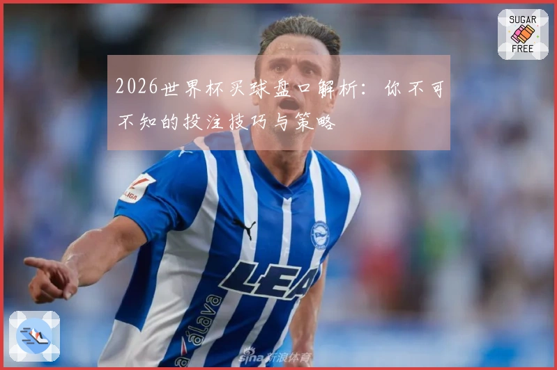 2026世界杯买球盘口解析：你不可不知的投注技巧与策略
